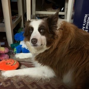 Meet your Posher, Tanda